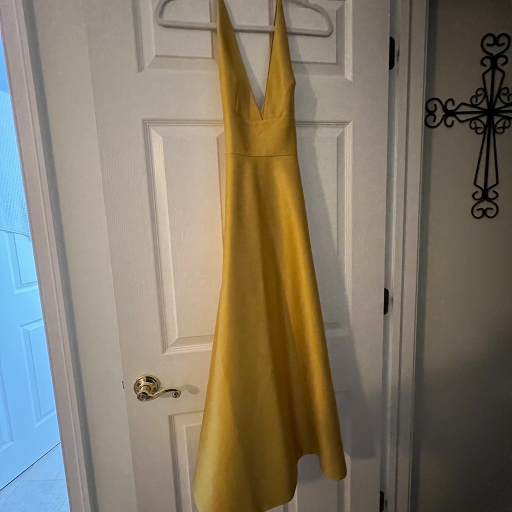 Gorgeous BHLDN dress. never worn.